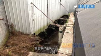 河長制推動河長治 集美區清退污染溪流養鰻場，啟動“三溪”全面治理