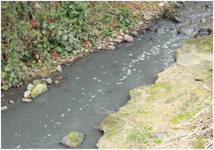 新規落地 養殖糞污排放標準與農田灌溉水質掛鉤，水污染治理邁出關鍵一步