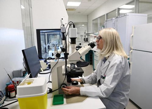 數字化轉型加速 意大利企業AI技術采用率實現翻倍增長